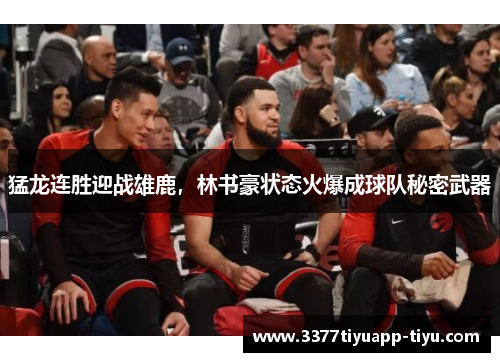 猛龙连胜迎战雄鹿，林书豪状态火爆成球队秘密武器